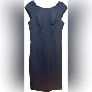 The Limited Navy Blue Sleeveless Sheath Dress
